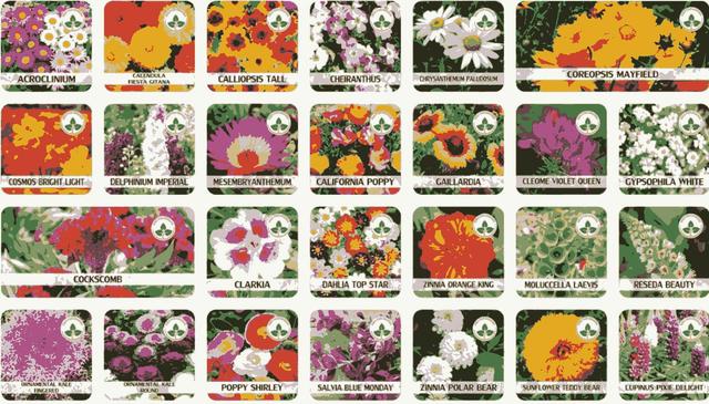 Varieties of Flower Seeds (Pack of 500g) And Get Plant Growth Supplement
