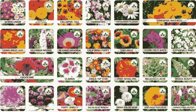 Varieties of Flower Seeds (Pack of 500g) And Get Plant Growth Supplement