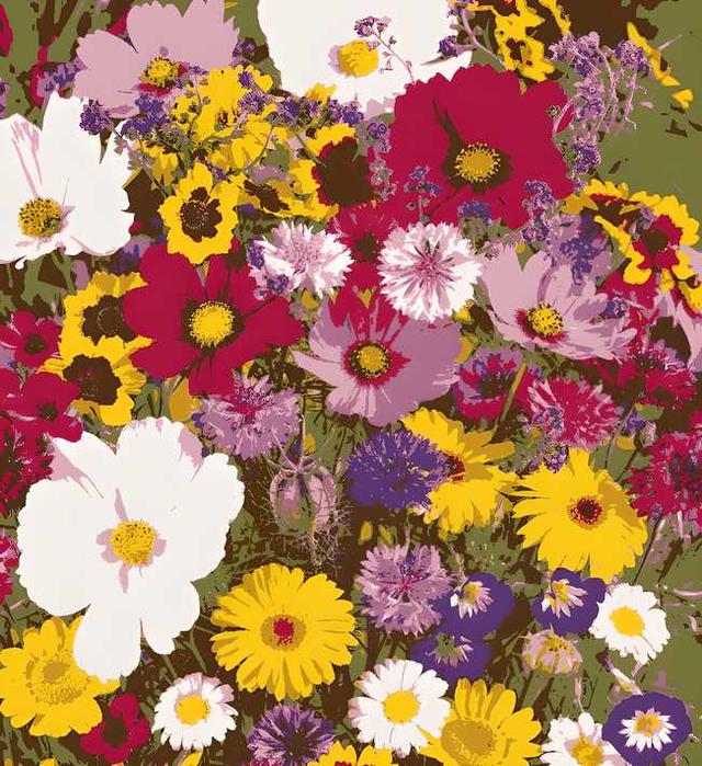 Varieties of Flower Seeds (Pack of 500g) And Get Plant Growth Supplement