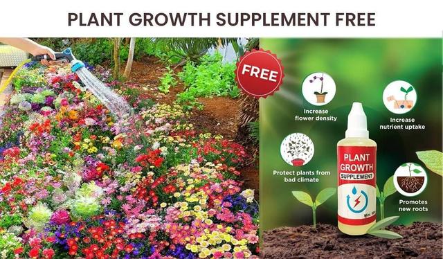Varieties of Flower Seeds (Pack of 500g) And Get Plant Growth Supplement